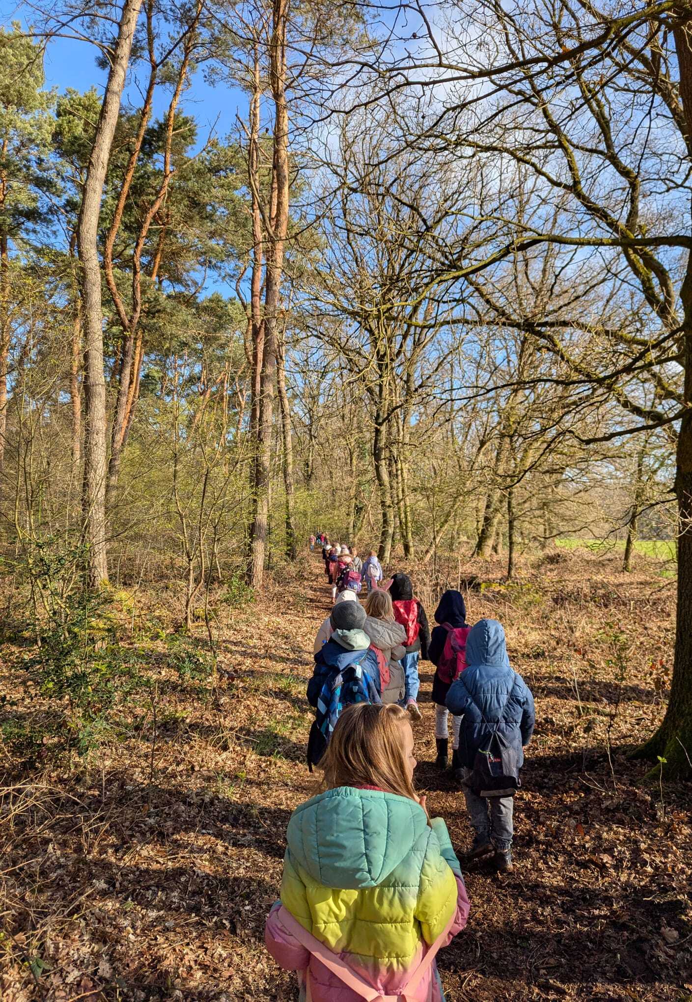 Ostereiersuche bei strahlendem Sonnenschein